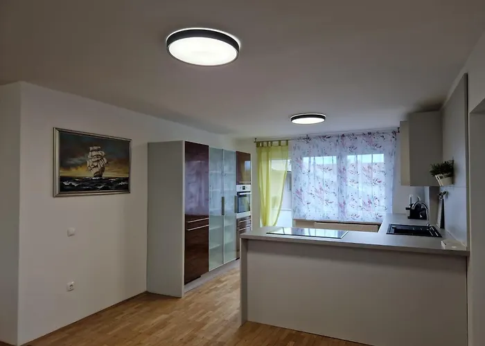 Apartmán Patricia House Lublaň